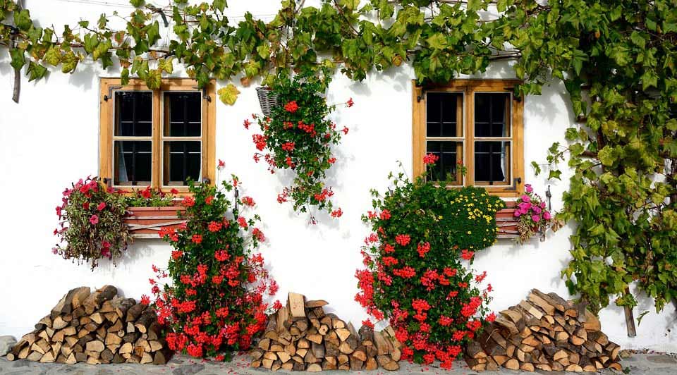 Fiori-da-balcone