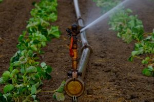 Centraline-per-irrigazione